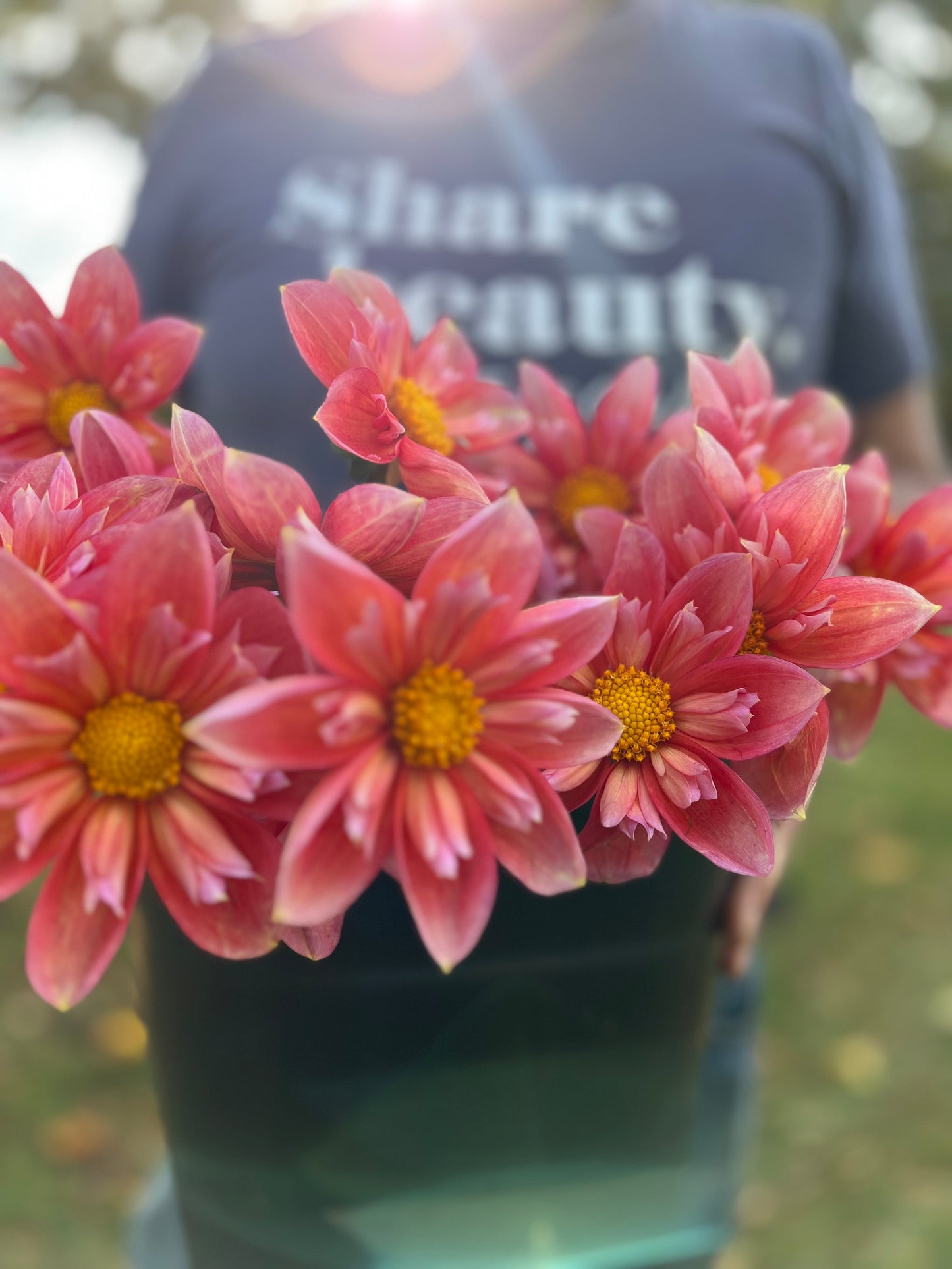 buy Bloomquist Simple Dahlia Tubers from Triple Wren Farms for your home garden