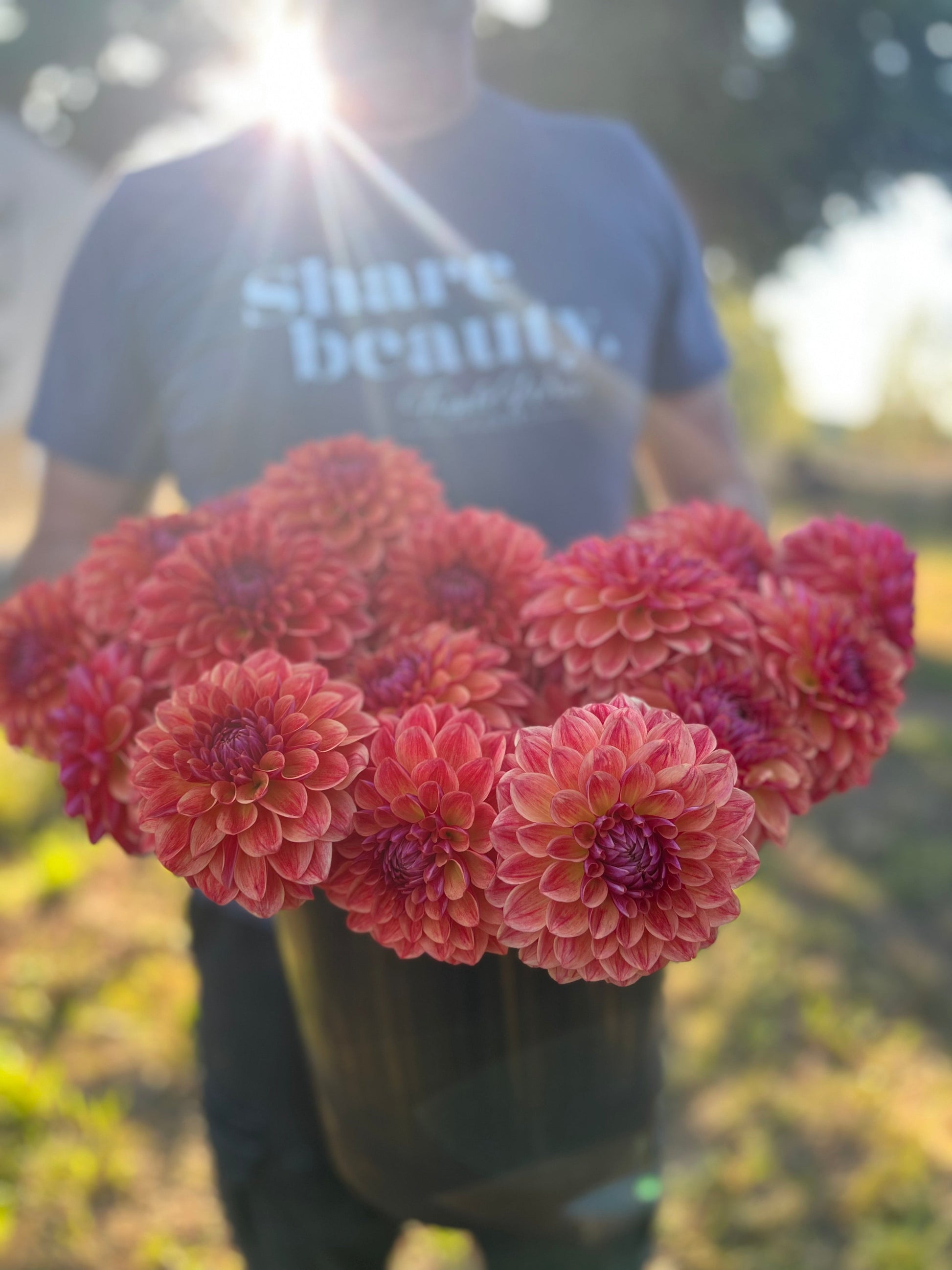 buy All That Jazz dahlia tubers from Tiple Wren Farms for your home garden