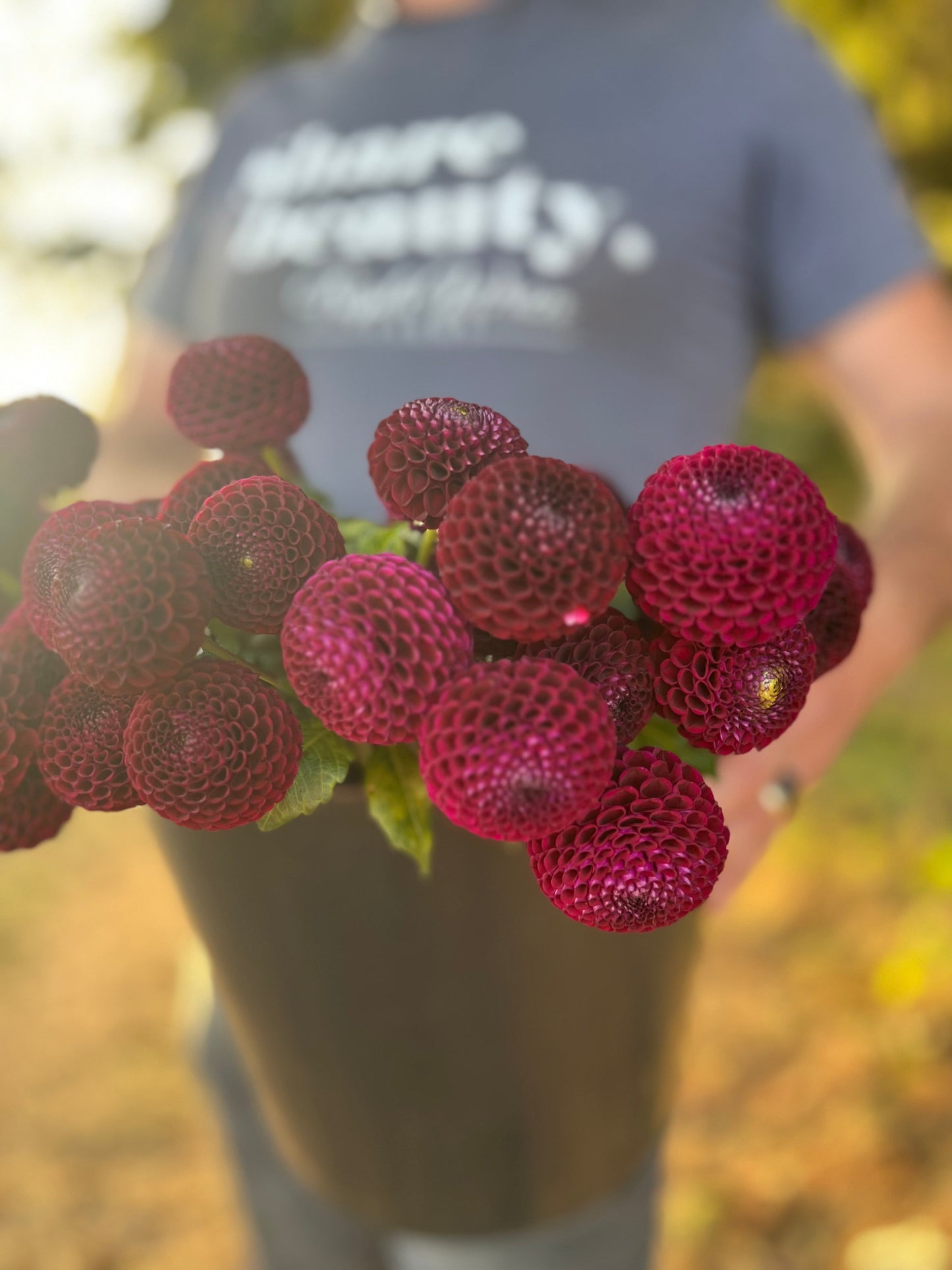buy Moor Place Dahlia Tubers from Triple Wren Farms for your home garden