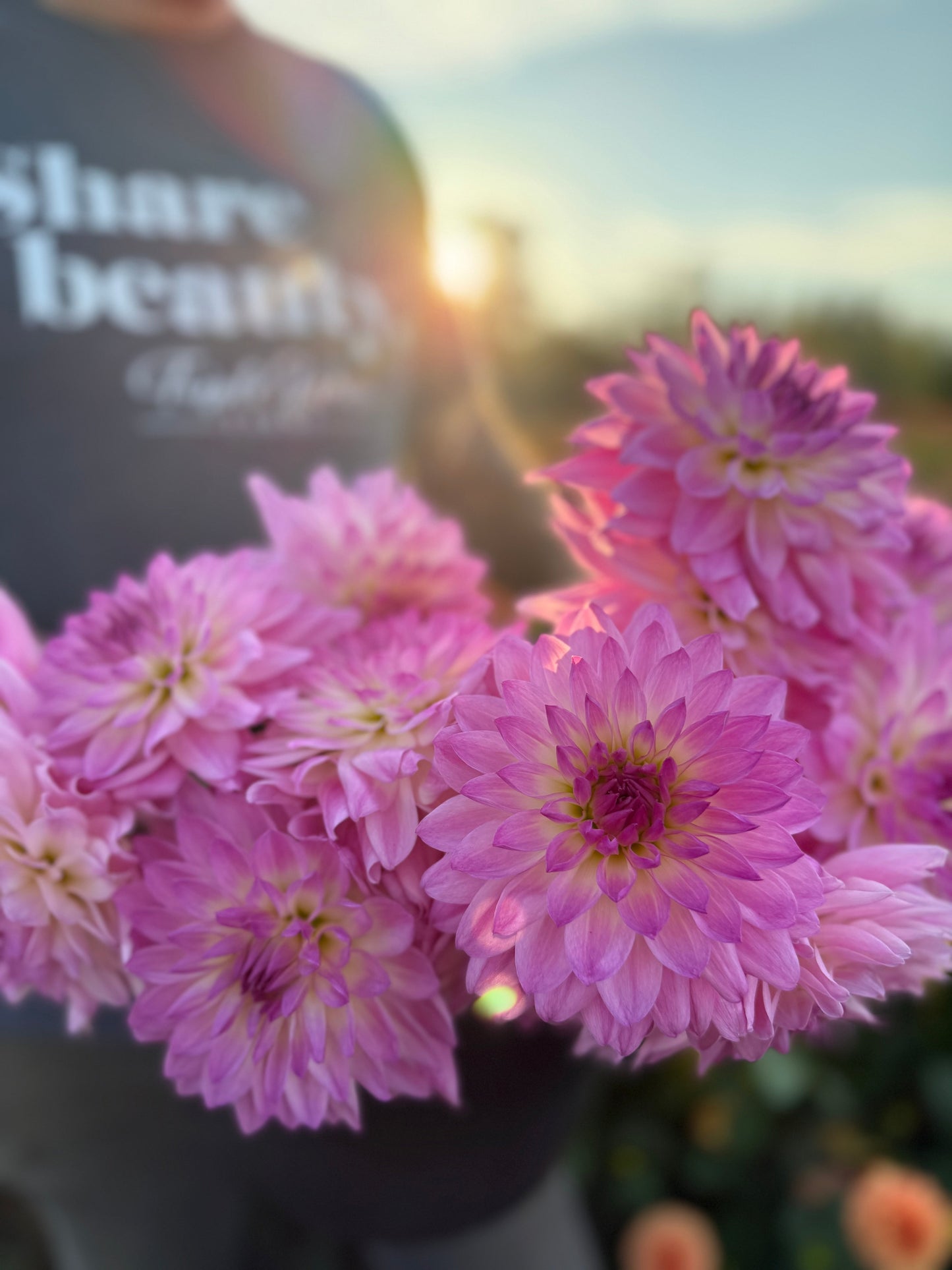 NY Arlene Dahlia Tuber