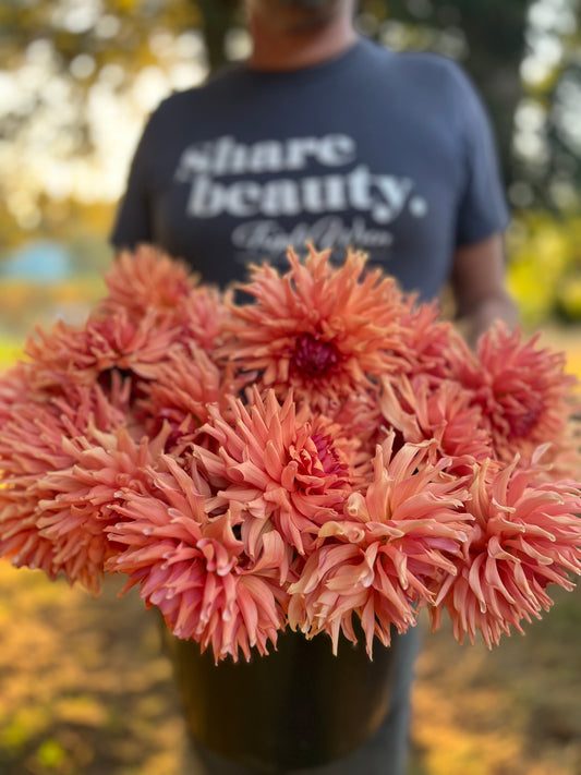 Terracotta : tubercule de dahlia 