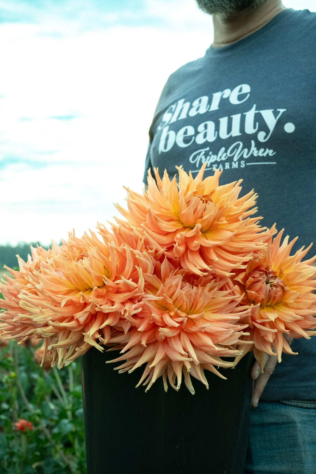 AC Ben Dahlia Tuber – Triple Wren Farms Canada