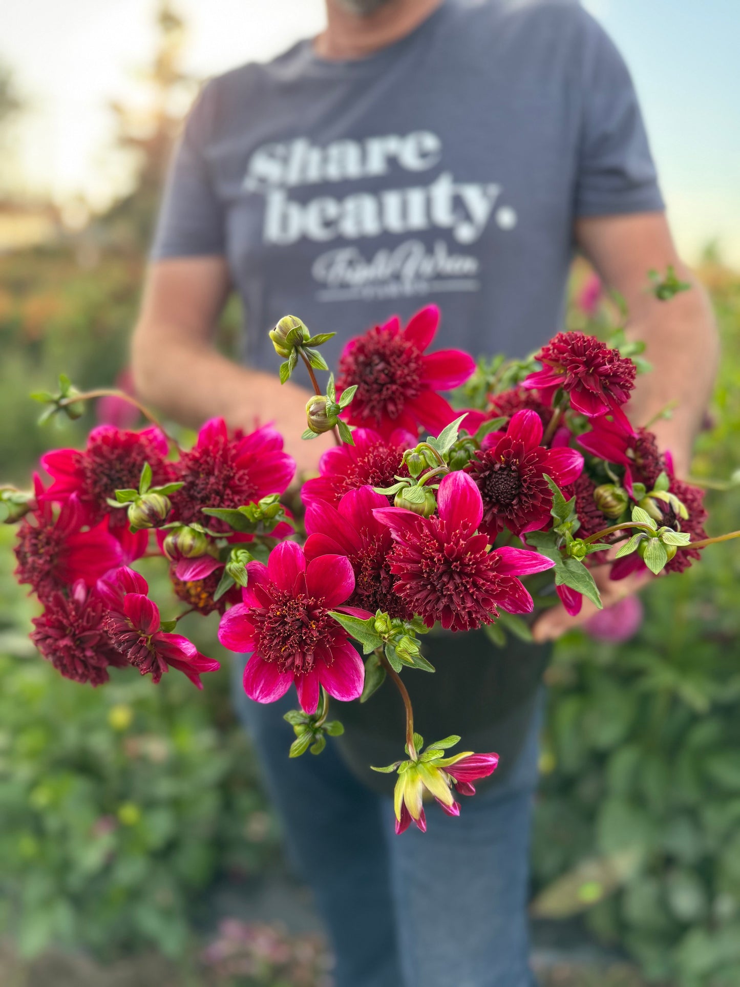 Bloomquist Larrie Ann Dahlia Tuber