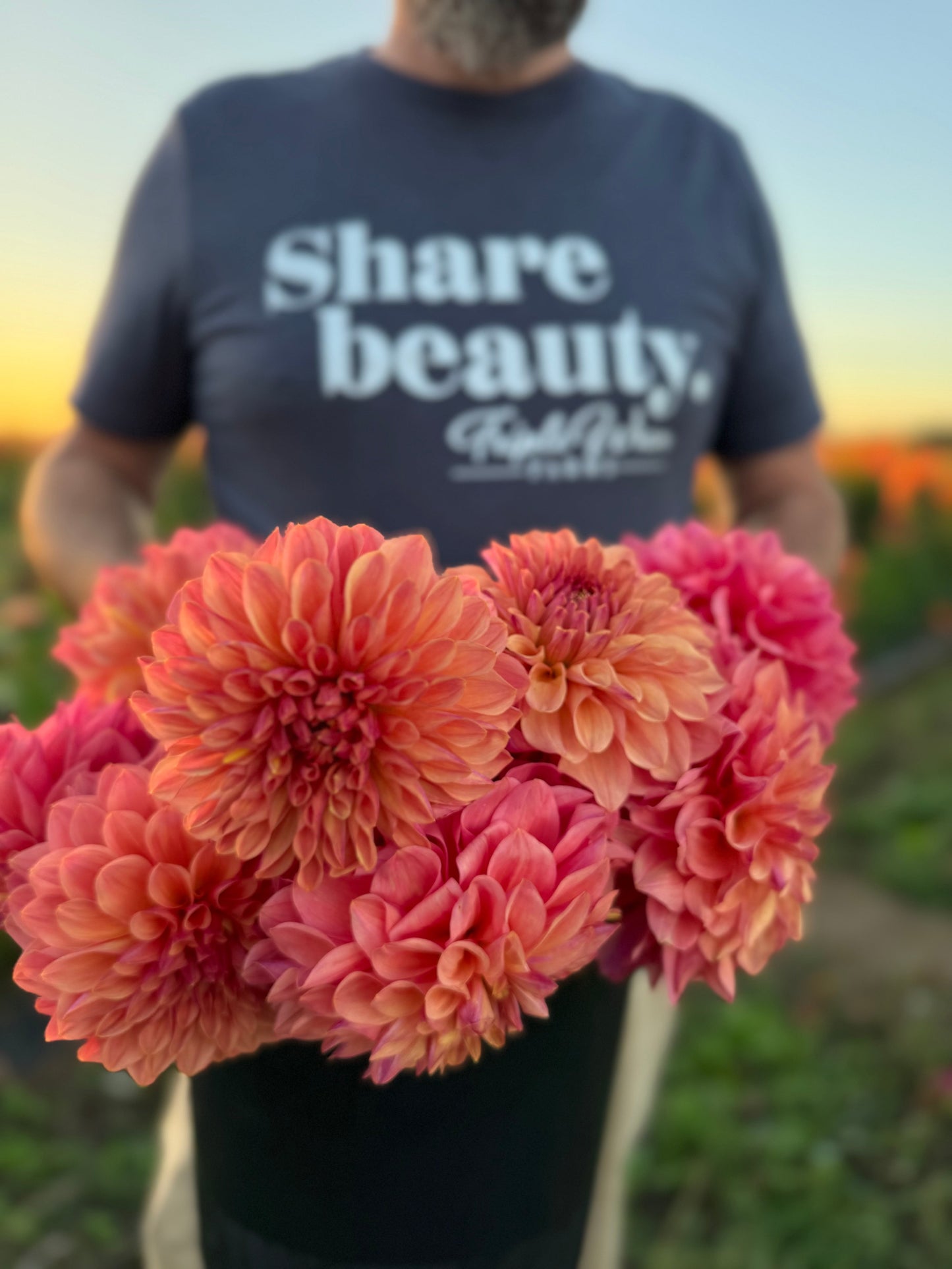 Buy Bloomquist Azalea Dahlias Triple Wren Farms