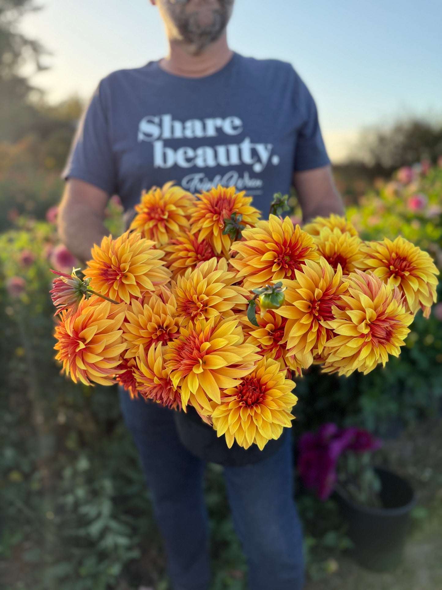 Bloomquist Fascinating Dahlia Tuber