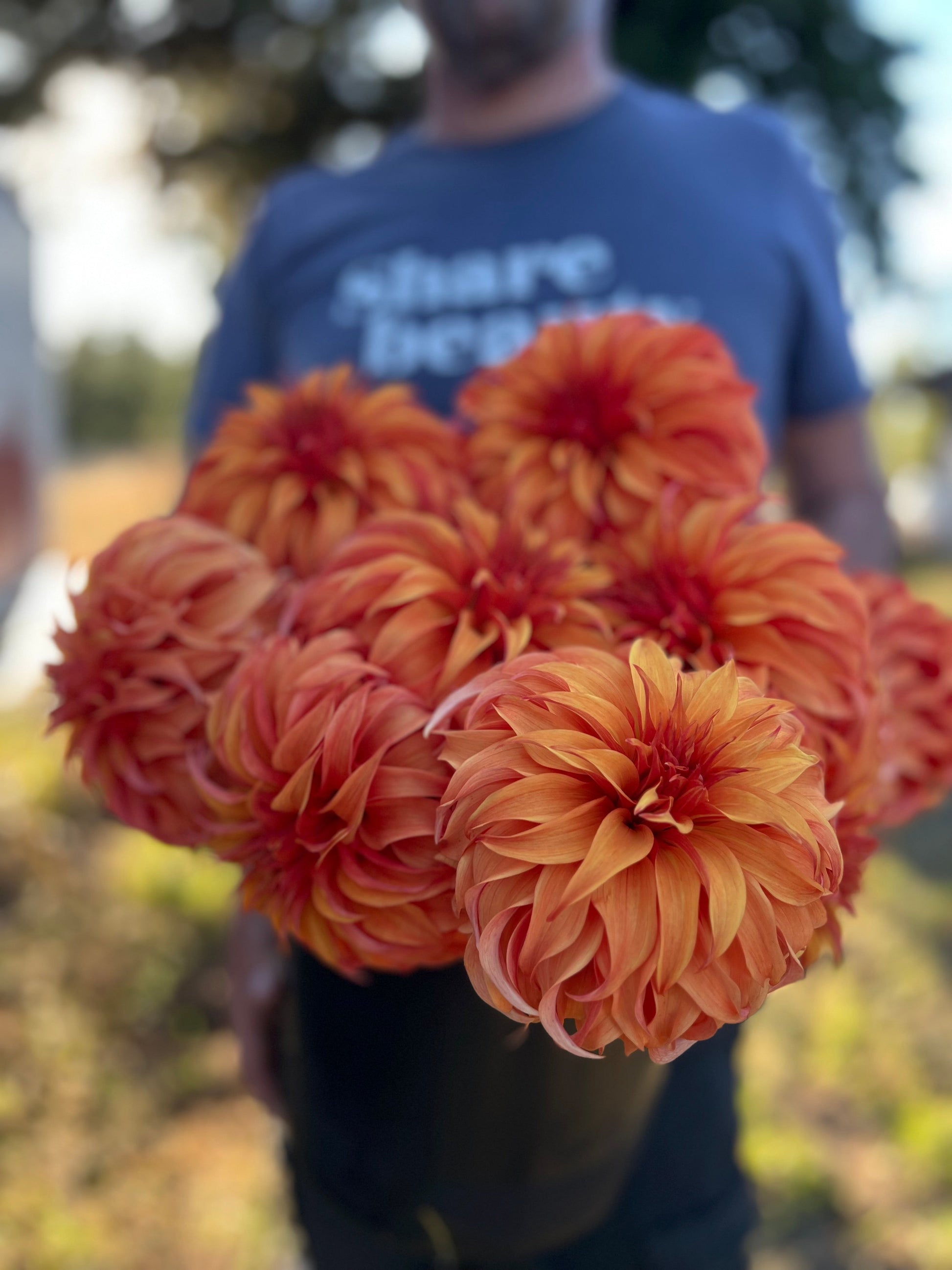 Bloomquist Jean dahlia tubers from Triple Wren Farms