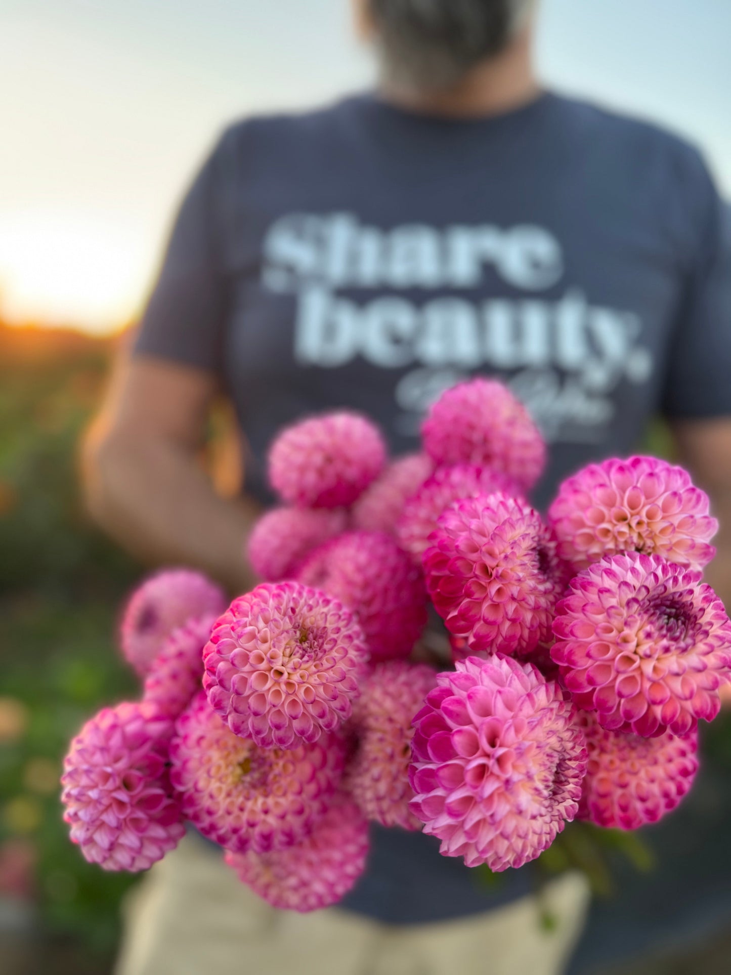 Buy Dahlias Triple Wren Farms Tubers