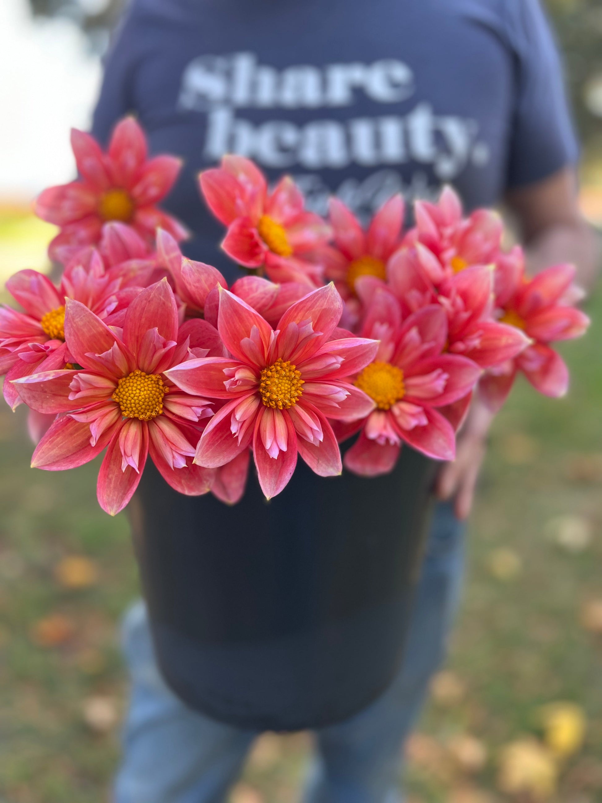Bloomquist Simple Dahlia Tubers from Triple Wren Farms