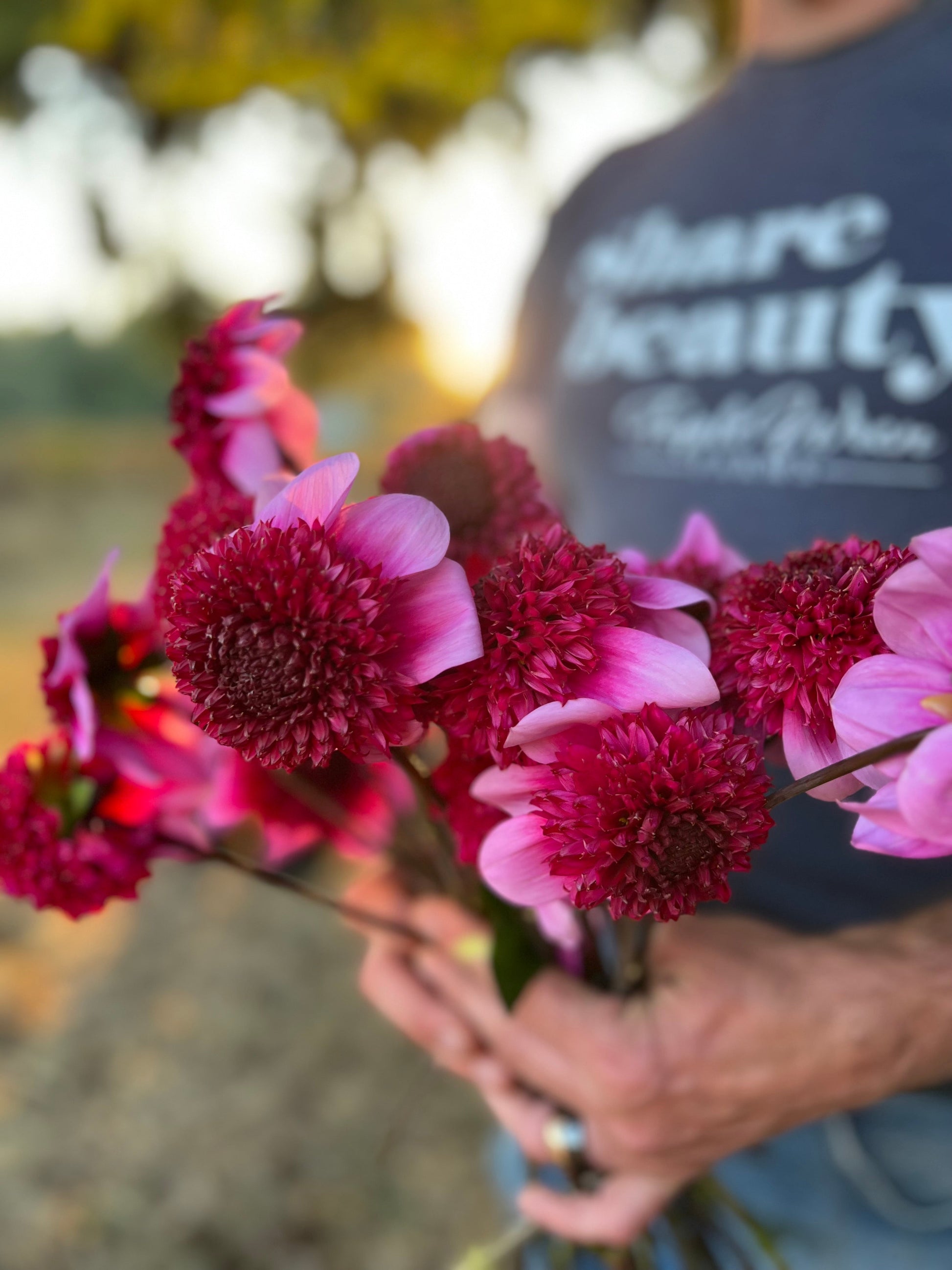 buy GG's Ruby Tuesday Dahlia Tuber from Triple Wren Farms for your home garden