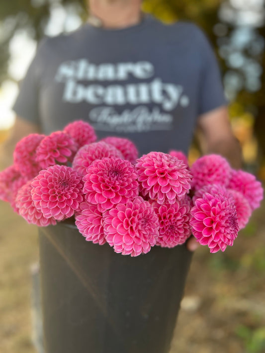 Rebecca Lynn Dahlia Tubers from Triple Wren Farms