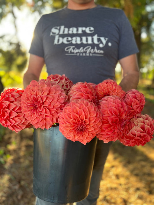 Sylvia Craig Hunter : Tubercule de dahlia