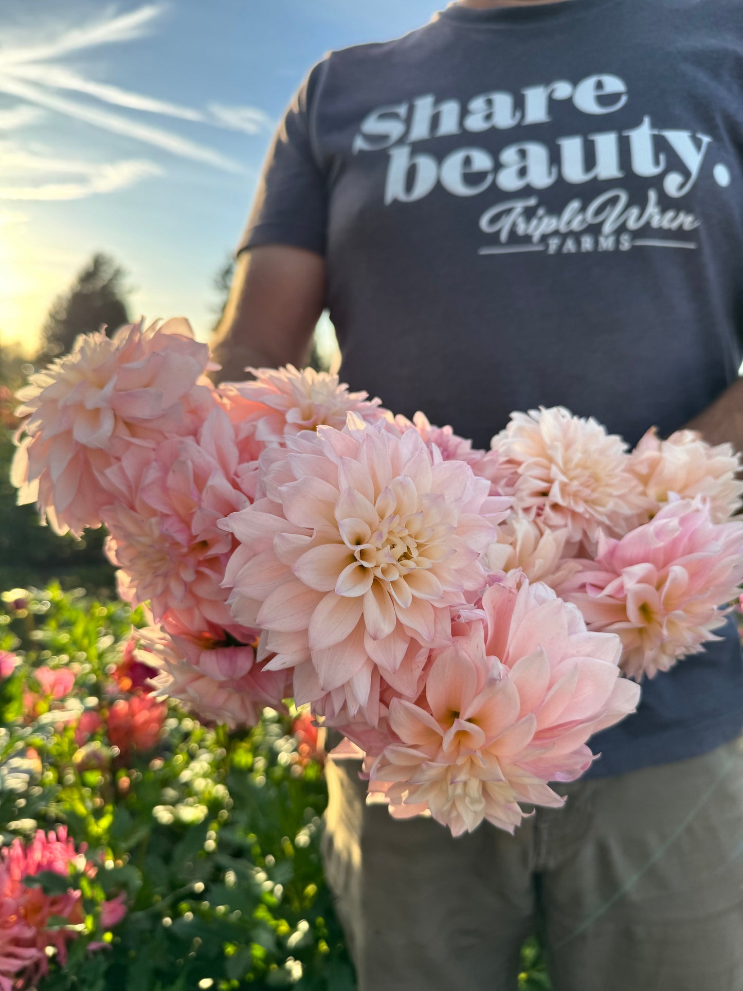 KA's Mocha Jake Dahlias from Triple Wren Farms