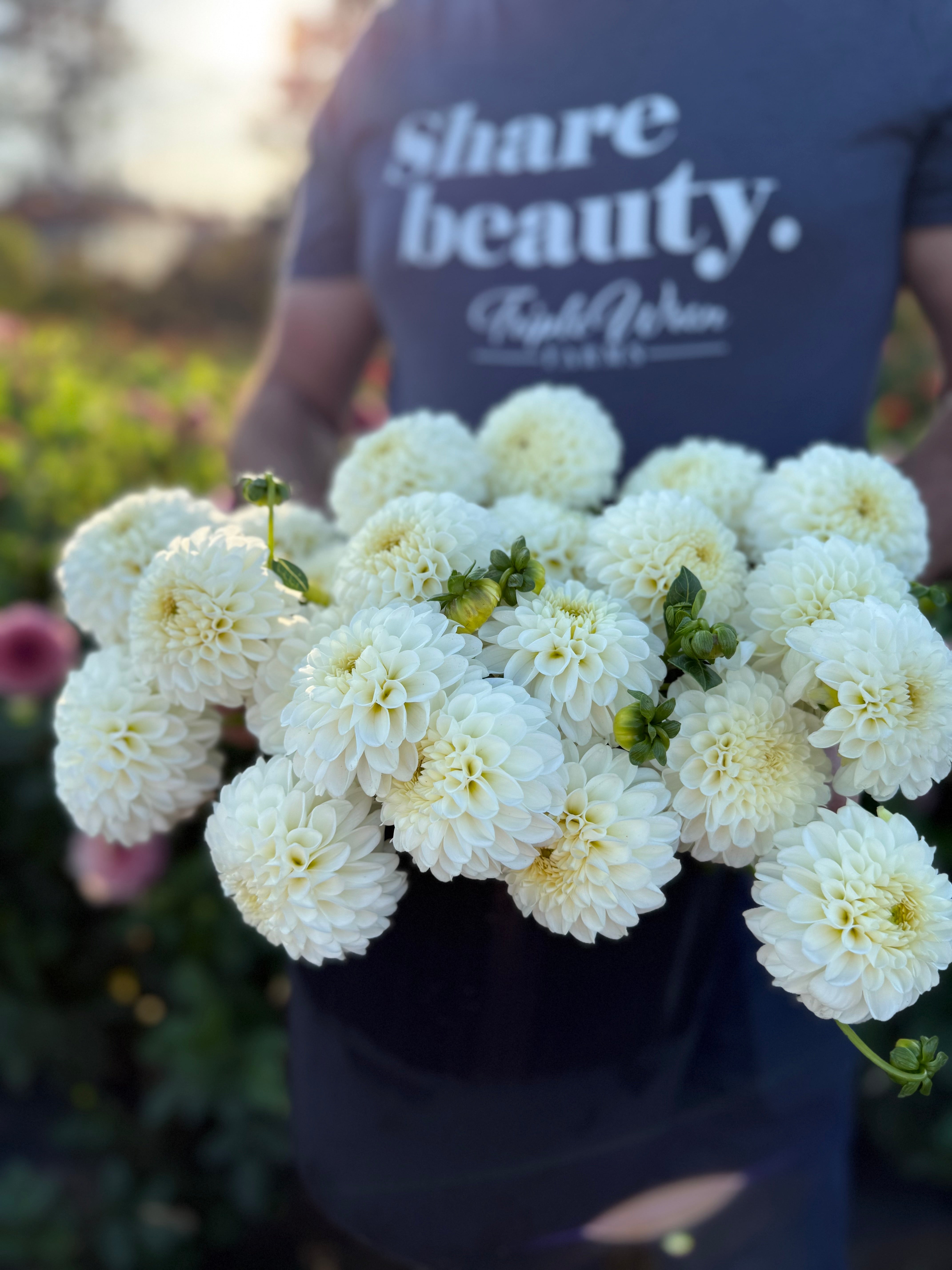 Ms Doris Dahlia Tuber – Triple Wren Farms Canada