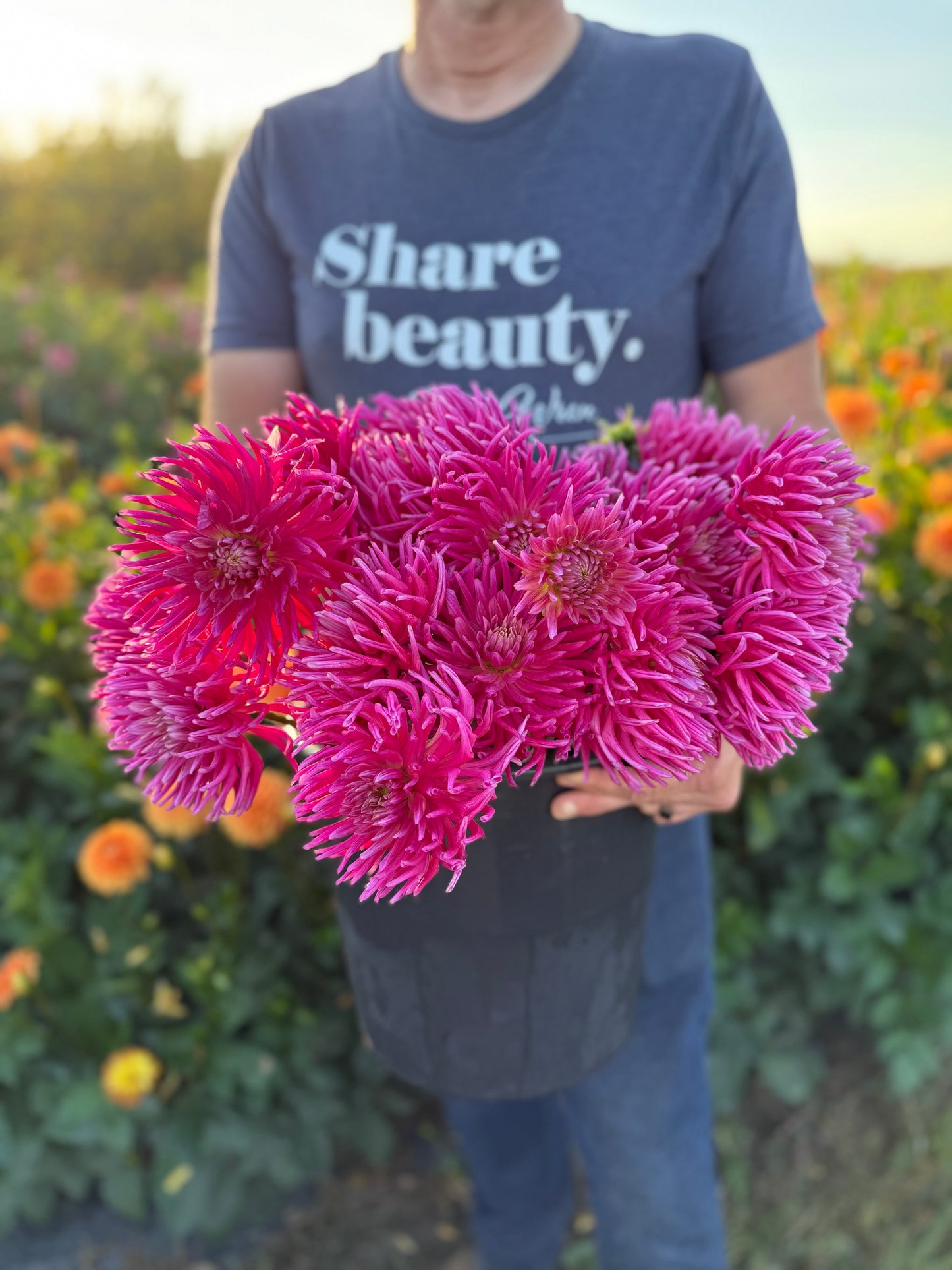 Salish Winds Dahlia Tuber