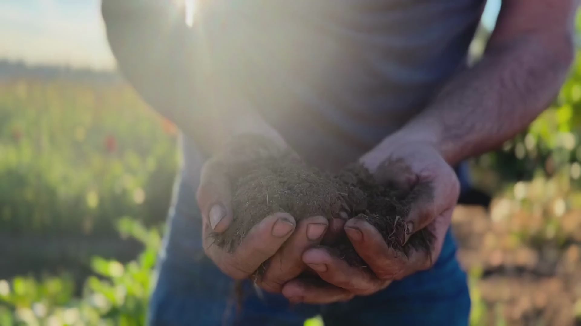 Load video: About Tubers at Triple Wren Farms